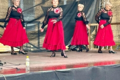 IMG-20260613-WA0042