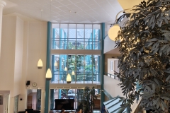 IMG_20260612_113721769