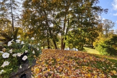 IMG_20261006_152044189