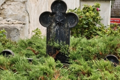 IMG_20260722_113034291